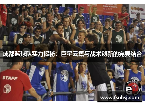 成都篮球队实力揭秘：巨星云集与战术创新的完美结合