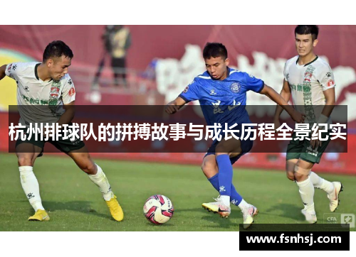 杭州排球队的拼搏故事与成长历程全景纪实